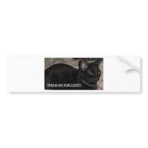 THIS IS MY FUR COAT! KITTY bumper stickers