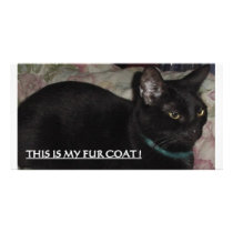 THIS IS MY FUR COAT! KITTY photo cards