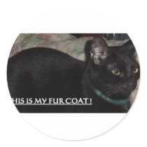 THIS IS MY FUR COAT! KITTY stickers