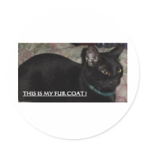 THIS IS MY FUR COAT! KITTY stickers
