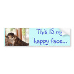 "This IS my happy face..." bumper sticker