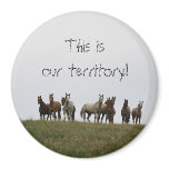 "This is our territory" Refrigerator Magnets