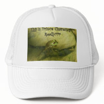 This Is Prince Charming??? hats by AngelasFocusedOnYou This Is Prince Charming??? hats