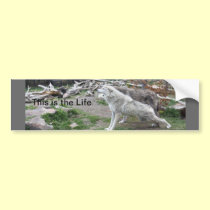 This is the Life Wolf Bumper Sticker bumper stickers