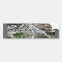This is the Life Wolf Bumper Sticker