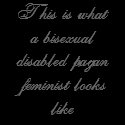 This is what a bisexual disabled pagan feminist... t-shirts