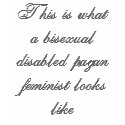 This is what a bisexual disabled pagan feminist... t-shirts