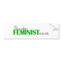 This Is What A Feminist Looks Like bumper stickers