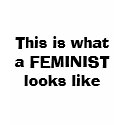 This is what a FEMINIST looks like t-shirts