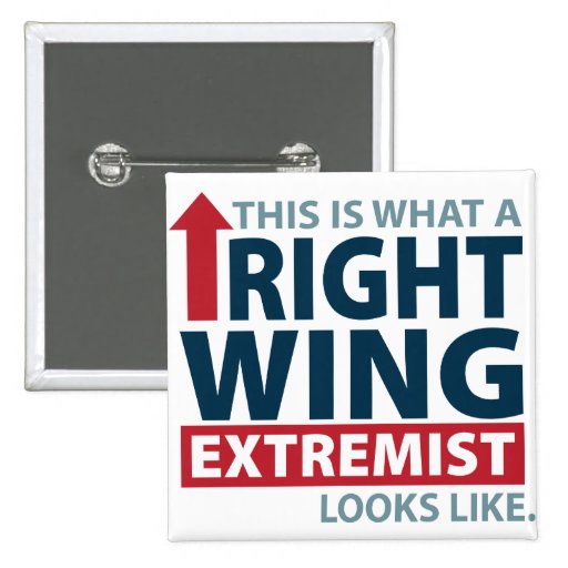 This is what a Right Wing Extremist Looks Like Button