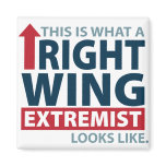This is what a Right Wing Extremist Looks Like magnets