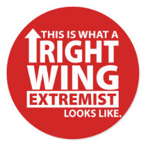 This is what a Right Wing Extremist Looks Like stickers by AmericanElephant This is what a Right Wing Extremist Looks Like stickers