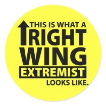 This is what a Right Wing Extremist Looks Like stickers by AmericanElephant This is what a Right Wing Extremist Looks Like stickers