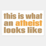 This is what an atheist looks like rectangle stickers