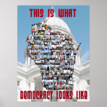 This is What Democracy Looks Like Print