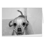 THIS IS WHAT I THINK OF BATHTIME CARDS