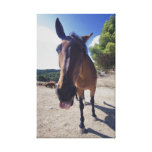 This Is What I Think of You Canvas Prints