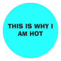 THIS IS WHY I AM HOT stickers