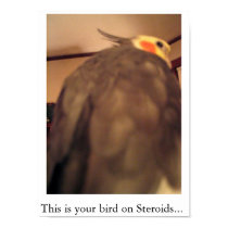 This is your bird on Steroids... posters by puffcrow This is your bird on Steroids... posters
