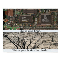 This is Your Brain. posters