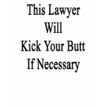 This Lawyer Will Kick Your Butt If Necessary