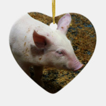This Little Piggy - Baby Piglet Photo Christmas Ornament