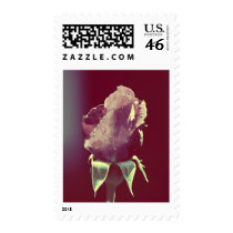 This little rose postage