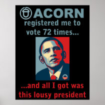 This Lousy President Print
