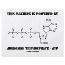 This Machine Is Powered By Adenosine Triphosphate flyers by wordsunwords This Machine Is Powered By Adenosine Triphosphate flyers