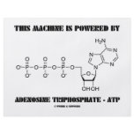 This Machine Is Powered By Adenosine Triphosphate flyers