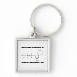 This Machine Is Powered By Adenosine Triphosphate keychain