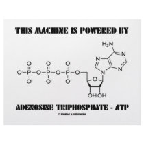 This Machine Is Powered By Adenosine Triphosphate letterhead by wordsunwords This Machine Is Powered By Adenosine Triphosphate letterhead