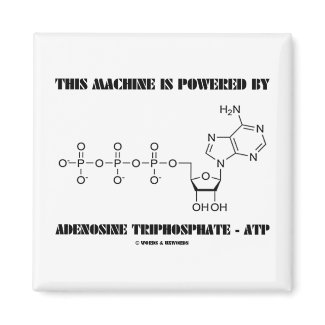 This Machine Is Powered By Adenosine Triphosphate magnet