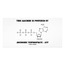 This Machine Is Powered By Adenosine Triphosphate Personalized Photo Card