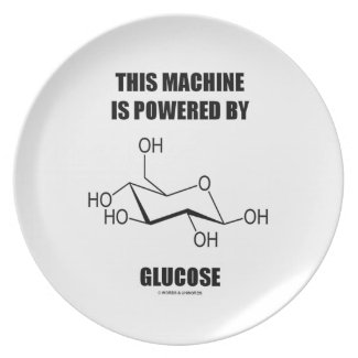 This Machine Is Powered By Glucose Dinner Plates