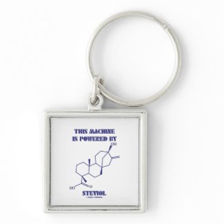 This Machine Is Powered By Steviol (Molecule) keychain