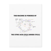 This Machine Is Powered By The Citric Acid Cycle Post Card