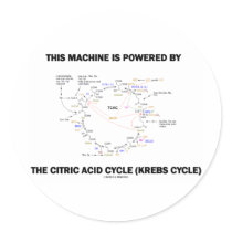 This Machine Is Powered By The Citric Acid Cycle Round Sticker