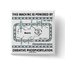 This Machine Powered By Oxidative Phosphorylation Pins