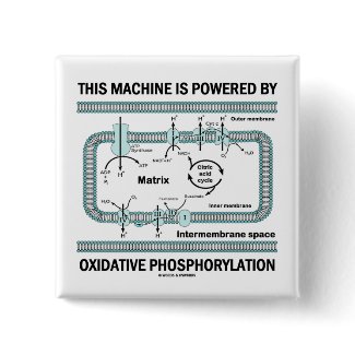 This Machine Powered By Oxidative Phosphorylation button