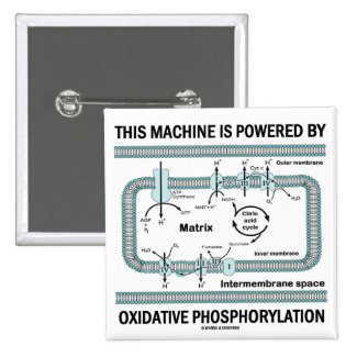 This Machine Powered By Oxidative Phosphorylation Pins