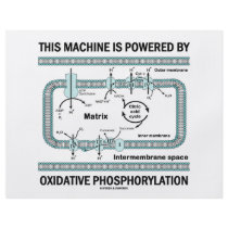 This Machine Powered By Oxidative Phosphorylation flyers by wordsunwords This Machine Powered By Oxidative Phosphorylation flyers