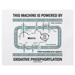 This Machine Powered By Oxidative Phosphorylation Full Color Flyer