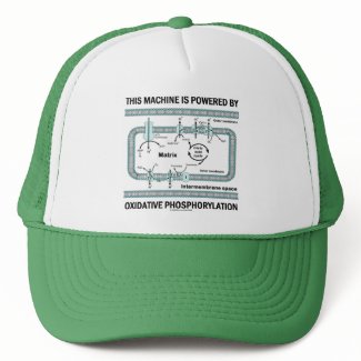This Machine Powered By Oxidative Phosphorylation hat