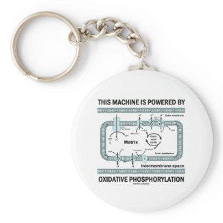 This Machine Powered By Oxidative Phosphorylation keychain