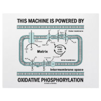This Machine Powered By Oxidative Phosphorylation Letterhead Template