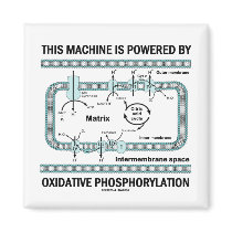This Machine Powered By Oxidative Phosphorylation Fridge Magnets