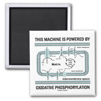 This Machine Powered By Oxidative Phosphorylation Refrigerator Magnets