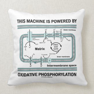 This Machine Powered By Oxidative Phosphorylation Pillows