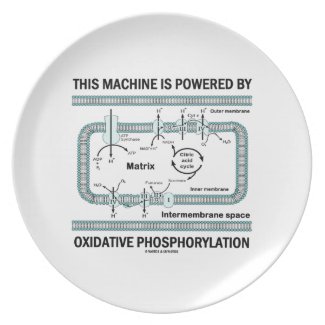 This Machine Powered By Oxidative Phosphorylation Plates